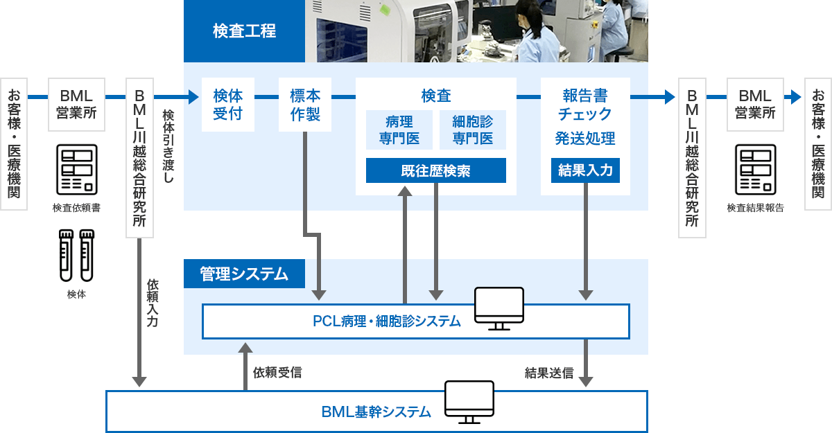 ピーシーエルジャパンが実施する病理組織検査、電子顕微鏡検査、細胞診検査の検査工程概要。ご依頼いただいた検査依頼書と検体をもとに、各検査を実施後、検査結果報告書をご提出します。